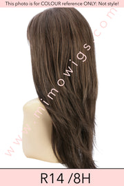 R14 /8H ••• Golden Brown with Dark Blonde Highlights on Top