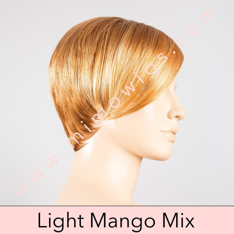 Disc Mono Part by Ellen Wille • Hairpower