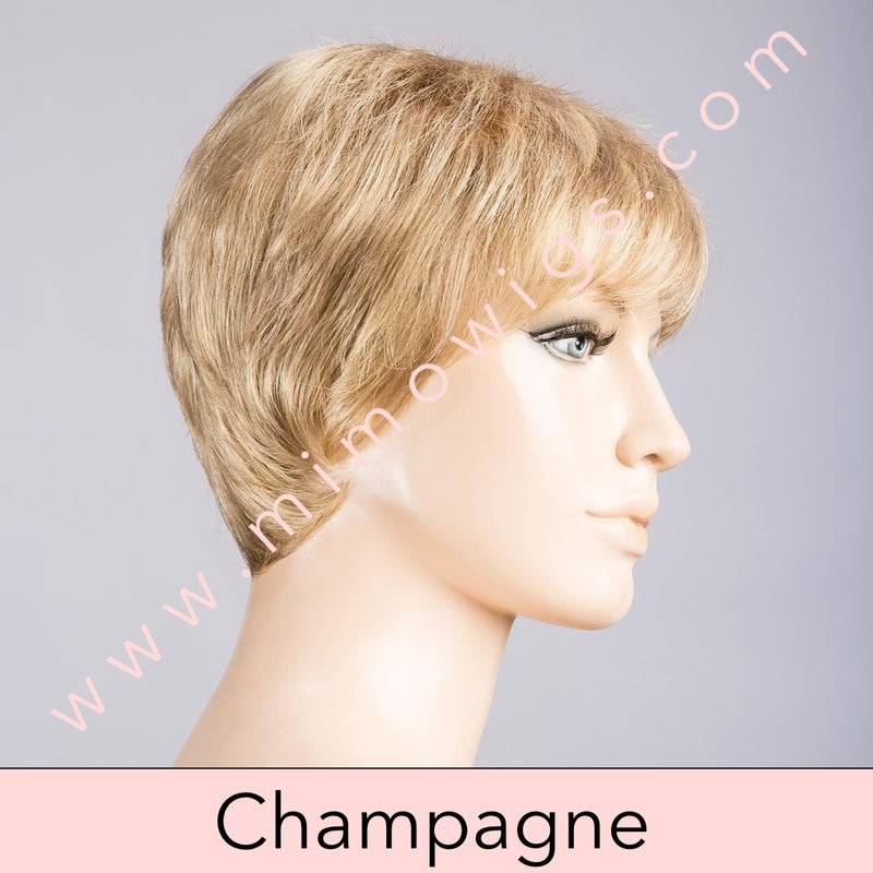 Ginger Mono by Ellen Wille • Hairpower