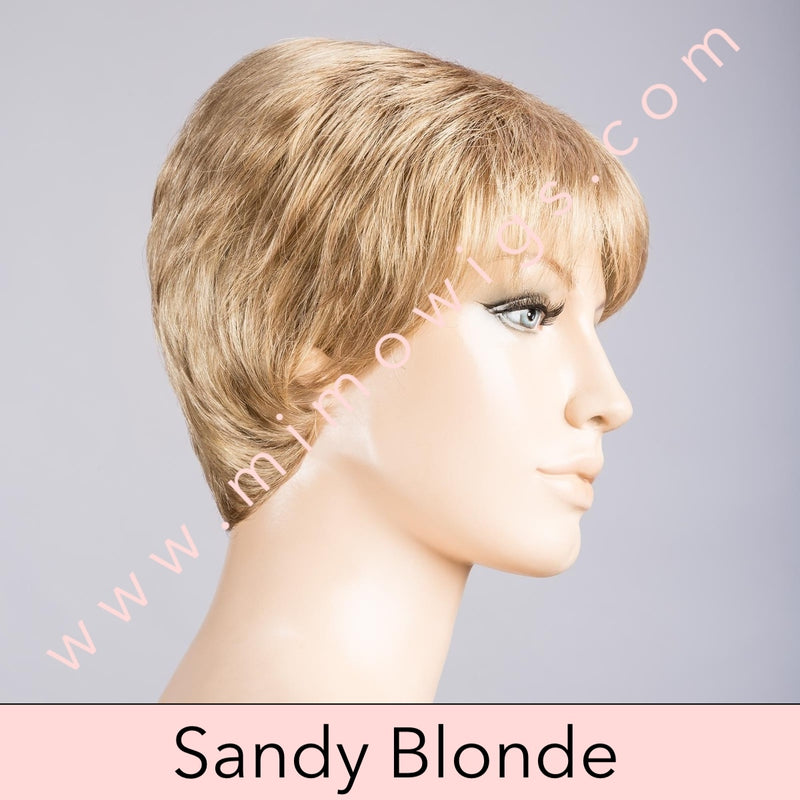 Ginger Mono by Ellen Wille • Hairpower