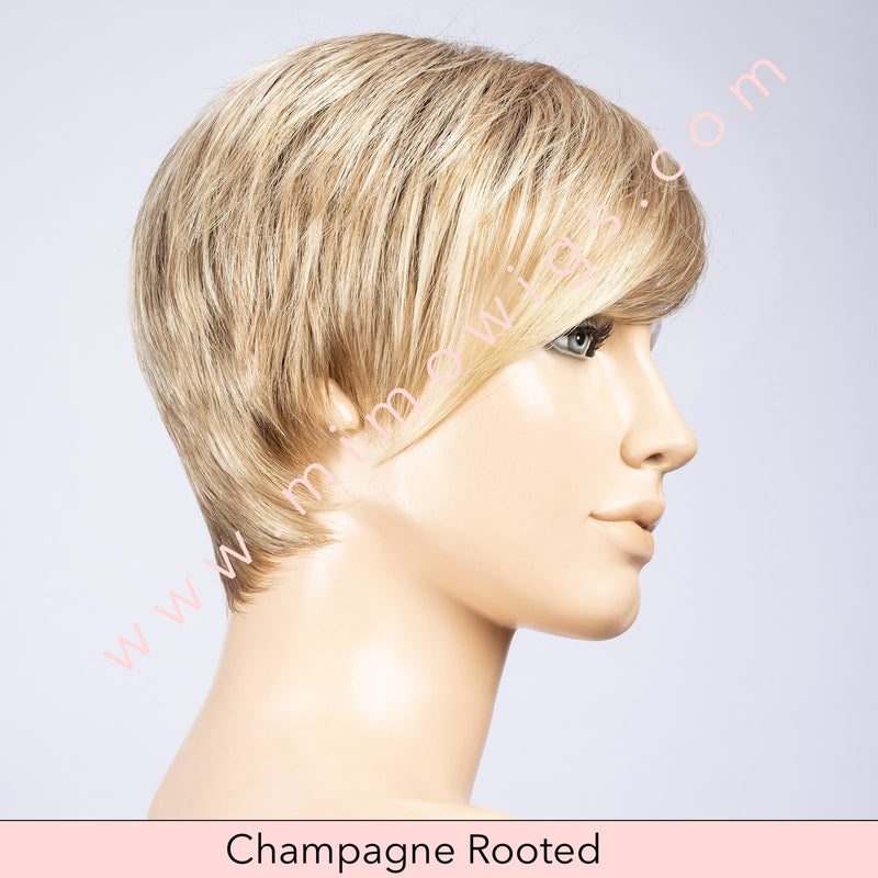 Point by Ellen Wille • Perucci