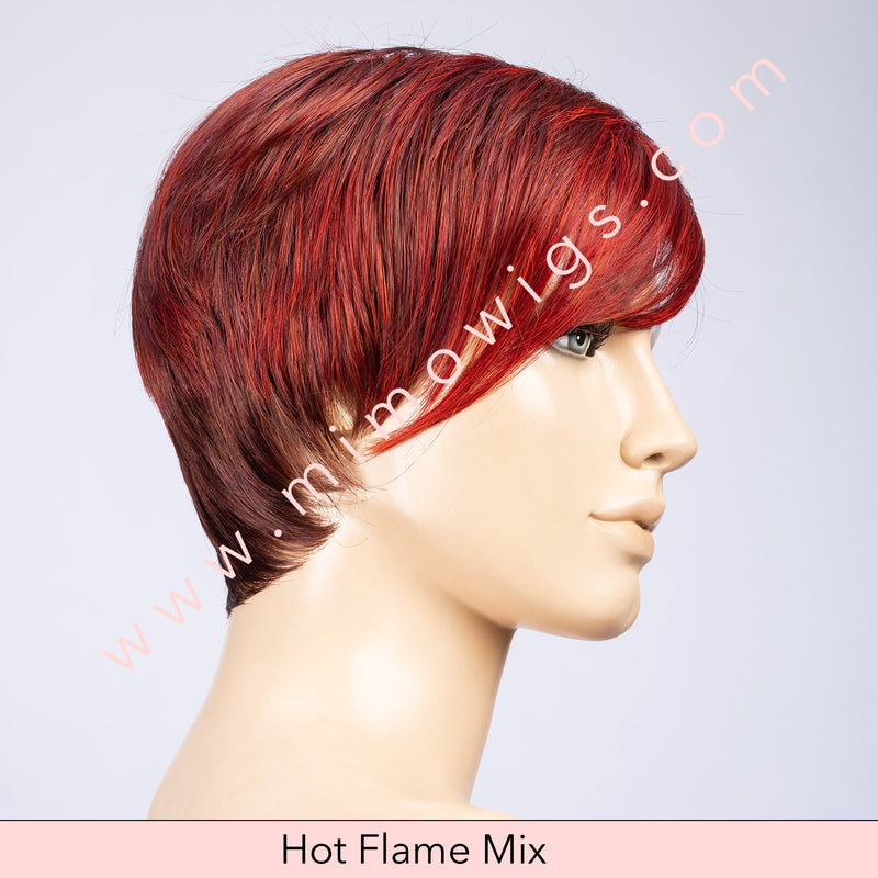 Point by Ellen Wille • Perucci