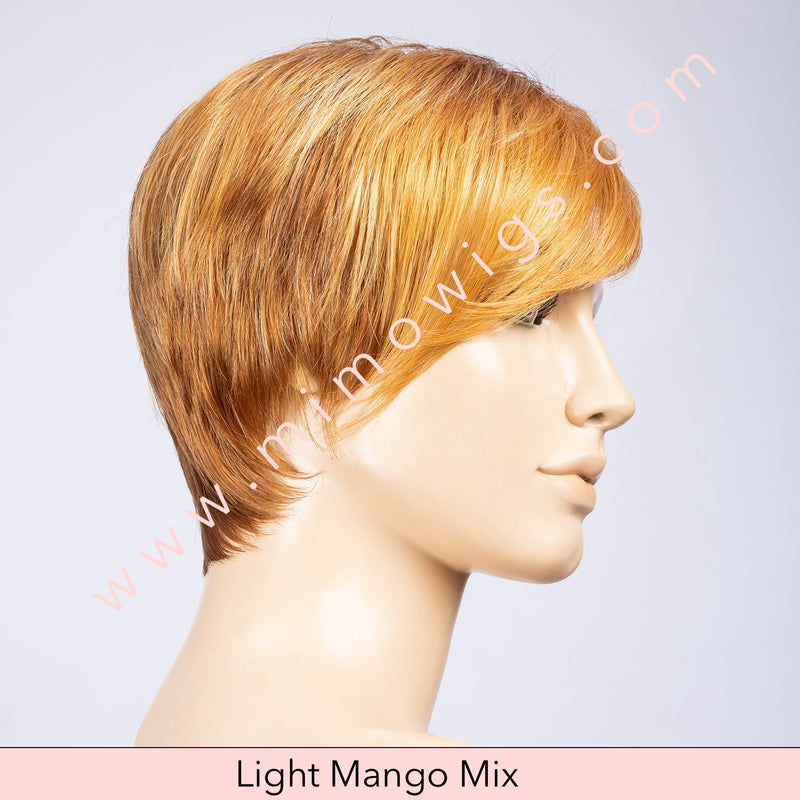 Point by Ellen Wille • Perucci