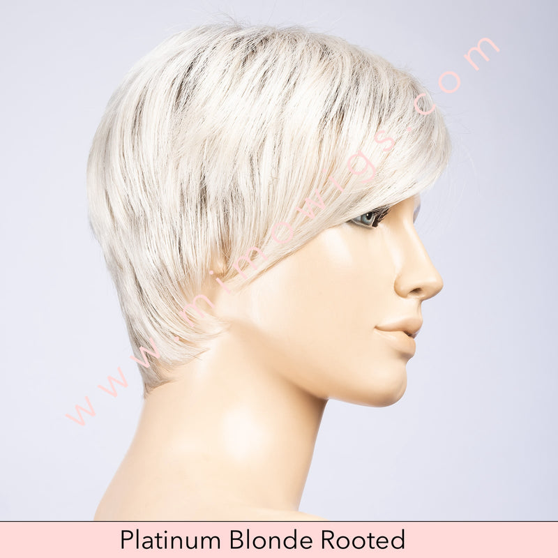 Point by Ellen Wille • Perucci