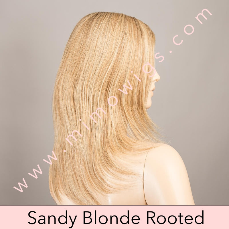 Spectra Plus by Ellen Wille • Pure Power Collection