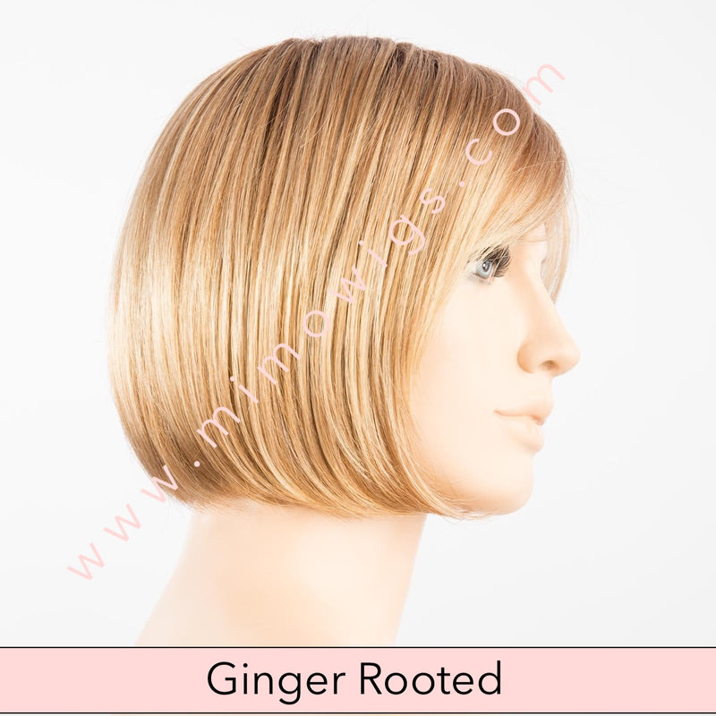 Vista by Ellen Wille • Perucci