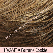10F • FARMHOUSE COOKIE | Light Brown with Light Gold Blonde Highlights