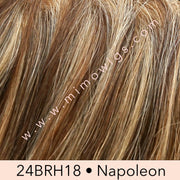 14/26s10 • SHADED PRALINES ’n’ CREAM | Lt Gold Blonde & Med Red-Gold Blonde Blend, Shaded w/ Lt Brown