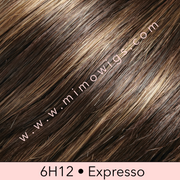 FS12/24B • CINNAMON SYRUP | Light Gold Brown w/ Gold Blonde Bold Highlights