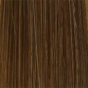 Men's System Mono Top (401 ) by Wig USA • Wig Pro Men's Collection | shop name | Medical Hair Loss & Wig Experts.