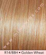 Glamour and More by Raquel Welch - MiMo Wigs