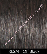 Ready For Takeoff by Raquel Welch - MiMo Wigs