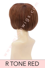 R30 /28 /26 ••• Medium Auburn  / Light Auburn  / Golden Blonde Blend