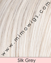 Silk Grey Swatch • ELLEN WILLE WIGS