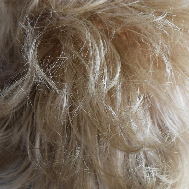 Nicole Mono (541) by Wig Pro: Synthetic Wig | shop name | Medical Hair Loss & Wig Experts.