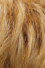 Shortie Large (532C) by WIGPRO: Synthetic Wig | shop name | Medical Hair Loss & Wig Experts.