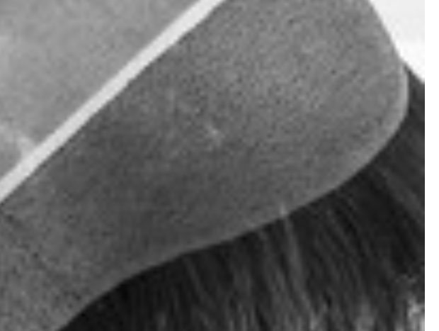 Flirt Alert by Raquel Welch - MiMo Wigs